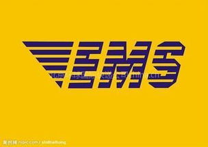 青島進口代理與EMS快遞清關 專業(yè)服務與廣告設計策略